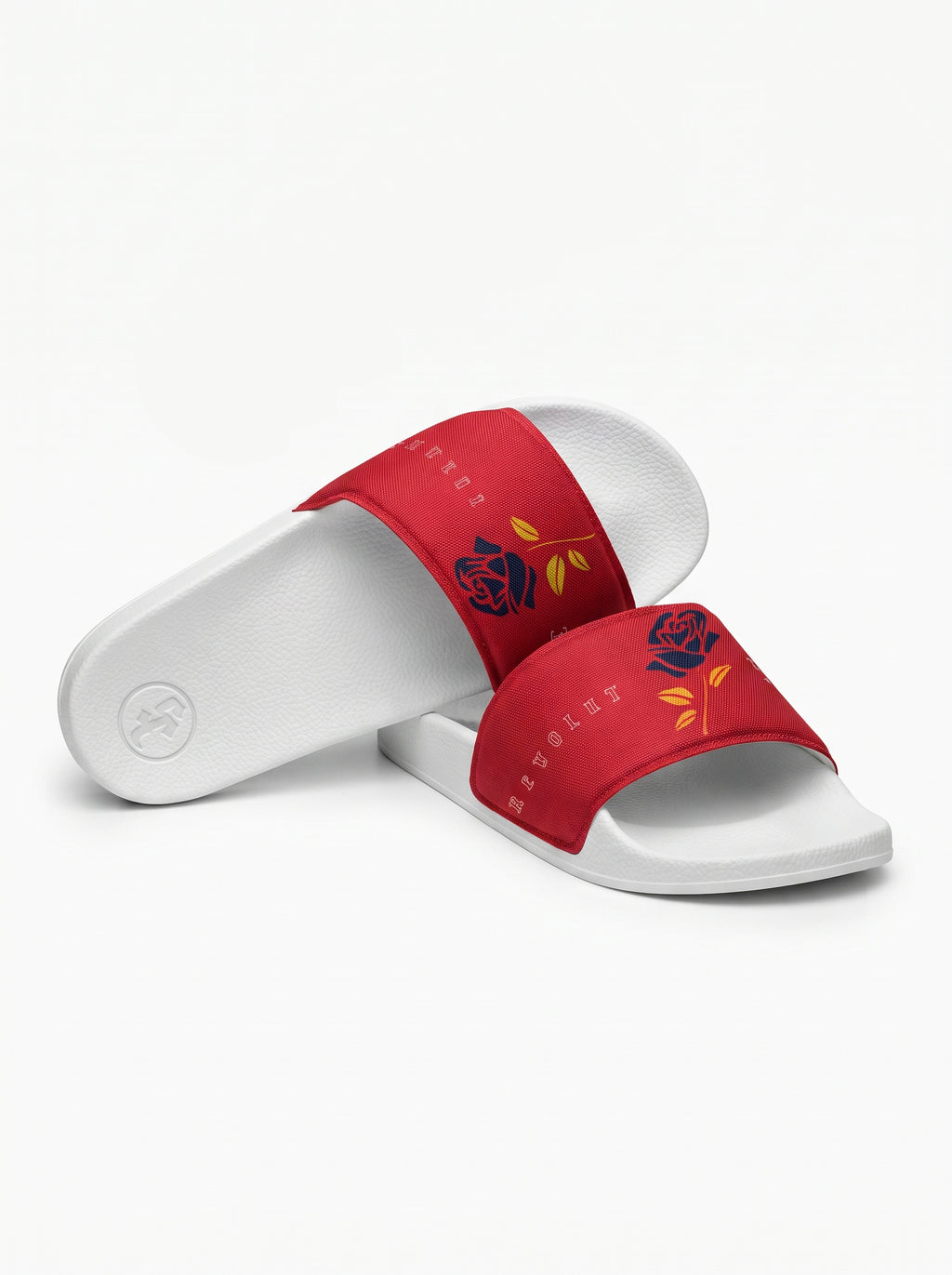 SC Revolt Slides